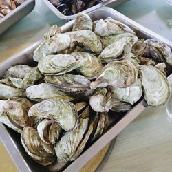 久草手机在线下载二维码